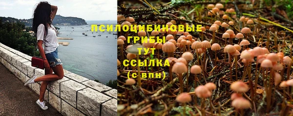 2c-b Беломорск