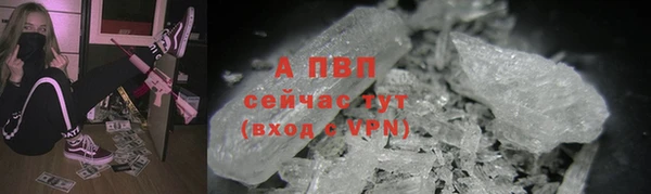 дживик Белокуриха