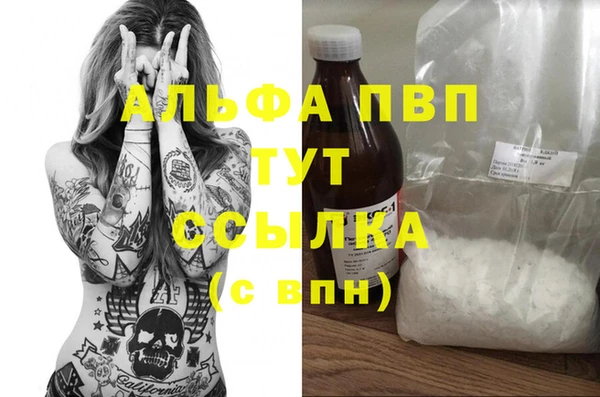 дживик Белокуриха