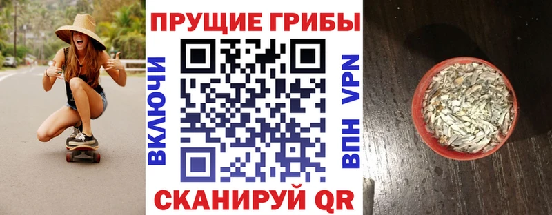 даркнет сайт  MEGA ссылка  Галлюциногенные грибы MAGIC MUSHROOMS  Верхотурье 